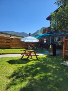 20240616 160851 E1736452620865 225x300